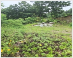  2024Ÿ8944 õ ȭ ȭ  385-4      (Ӿ)