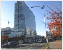  2024Ÿ14666 õ Ȧ żȦ 262, 120ȣ (͵,Ƽʵ)     ,繫ǰ