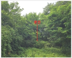  2024Ÿ538858 õ ߱ յ 736       (1)