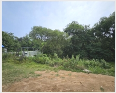  2024Ÿ538858 õ ߱ յ 736       (1)