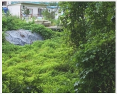  2024Ÿ538858 õ ߱ յ 736       (1)