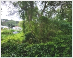  2024Ÿ538858 õ ߱ յ 736       (1)