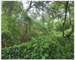  2024Ÿ538858 õ ߱ յ 736       (1)