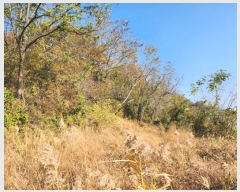  2024Ÿ��566914  �Ӿ߰��