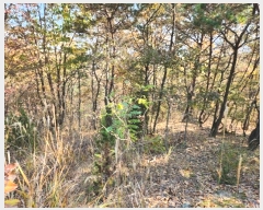  2024Ÿ��566914  �Ӿ߰��