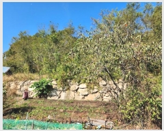  2024Ÿ��566914  �Ӿ߰��