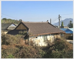  2024Ÿ567375 õ ȭ   247      ð