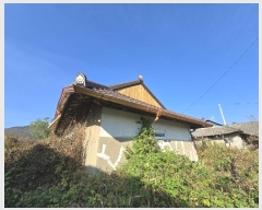  2024Ÿ567375 õ ȭ   247      ð