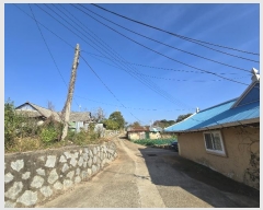  2024Ÿ567375 õ ȭ   247      ð