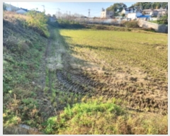  2024Ÿ567962 õ ȭ ȭ  1055-1      (1)