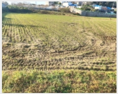  2024Ÿ567962 õ ȭ ȭ  1055-1      (1)