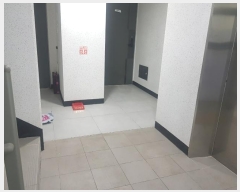  2024Ÿ8708 õ Ȧ õ94 21, 101 3304ȣ     ǽڰ