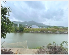  2024Ÿ��8968  ����