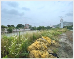  2024Ÿ��8968  ����