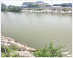  2024Ÿ��8968  ����