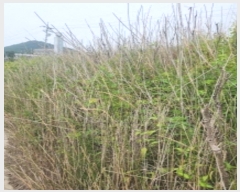  2024Ÿ��8968  ����