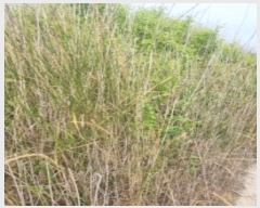  2024Ÿ��8968  ����