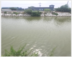  2024Ÿ��8968  ����