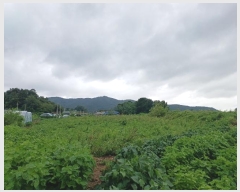  2024Ÿ��10978  �����