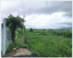  2024Ÿ��10978  �����