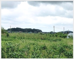  2024Ÿ��10978  �����