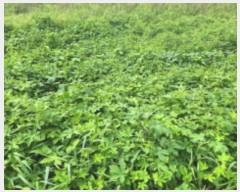  2024Ÿ��10978  �����