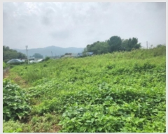  2024Ÿ��10978  �����