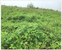  2024Ÿ��10978  �����