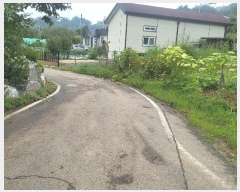  2024Ÿ11636 õ    807-1      ()