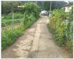  2024Ÿ11636 õ    807-1      ()