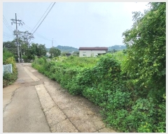  2024Ÿ11636 õ    807-1      ()