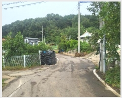  2024Ÿ11636 õ    807-1      ()