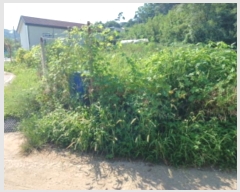  2024Ÿ11636 õ    807-1      ()