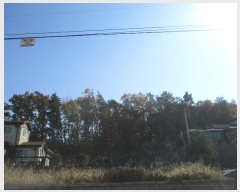  2024Ÿ��14505 ��õ ��ȭ�� ������ ���� 420-13      ����(�Ӿ�)���