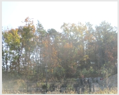  2024Ÿ��14505 ��õ ��ȭ�� ������ ���� 420-13      ����(�Ӿ�)���