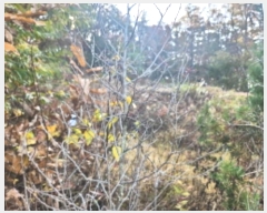  2024Ÿ��14505 ��õ ��ȭ�� ������ ���� 420-13      ����(�Ӿ�)���