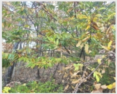  2024Ÿ��14505 ��õ ��ȭ�� ������ ���� 420-13      ����(�Ӿ�)���