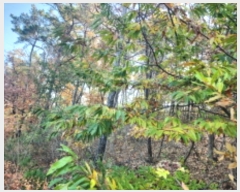  2024Ÿ��14505 ��õ ��ȭ�� ������ ���� 420-13      ����(�Ӿ�)���