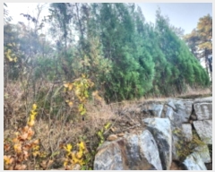  2024Ÿ��14505 ��õ ��ȭ�� ������ ���� 420-13      ����(�Ӿ�)���