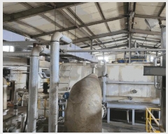  2024Ÿ��14857 ��õ ���� ������ 223-436       ������