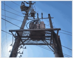  2024Ÿ��14857 ��õ ���� ������ 223-436       ������