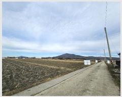  2024Ÿ15157 õ ȭ ȭ  96-1      ()