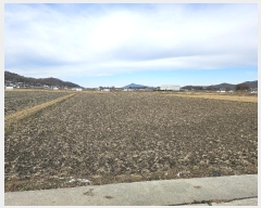  2024Ÿ15157 õ ȭ ȭ  96-1      ()