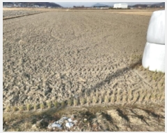  2024Ÿ15157 õ ȭ ȭ  96-1      ()