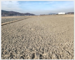  2024Ÿ15157 õ ȭ ȭ  96-1      ()