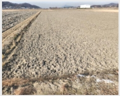  2024Ÿ15157 õ ȭ ȭ  96-1      ()