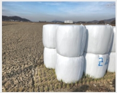  2024Ÿ15157 õ ȭ ȭ  96-1      ()