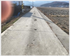  2024Ÿ15157 õ ȭ ȭ  96-1      ()