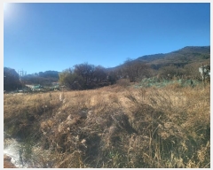  2024Ÿ15461 õ ߱ ǵ 55-1       ()