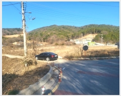  2024Ÿ15461 õ ߱ ǵ 55-1       ()